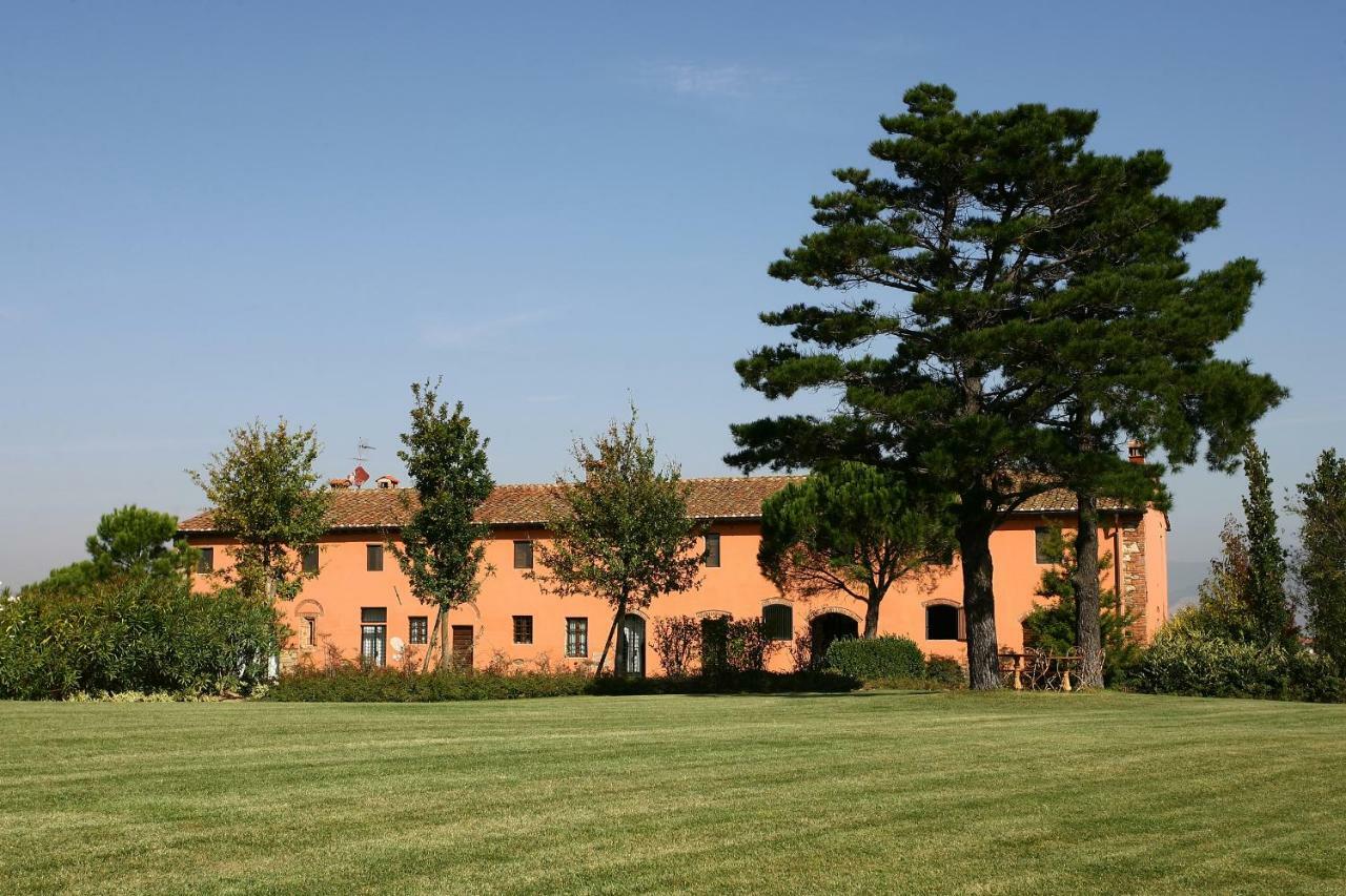 La Magnifica B&B Fauglia Екстериор снимка